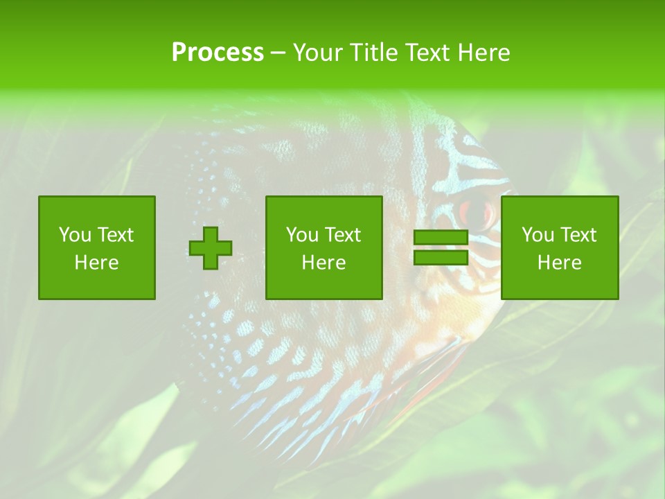 Round Tropical Nature PowerPoint Template