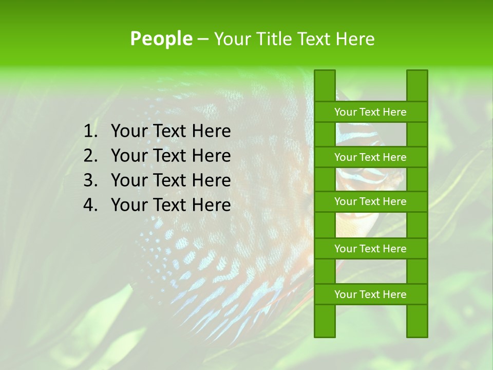 Round Tropical Nature PowerPoint Template