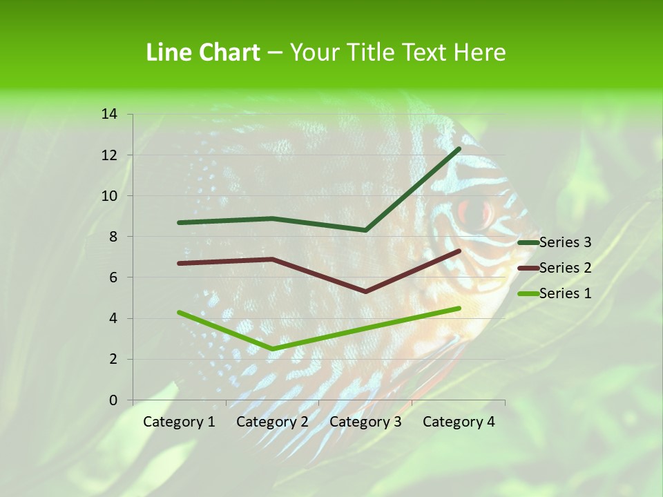 Round Tropical Nature PowerPoint Template