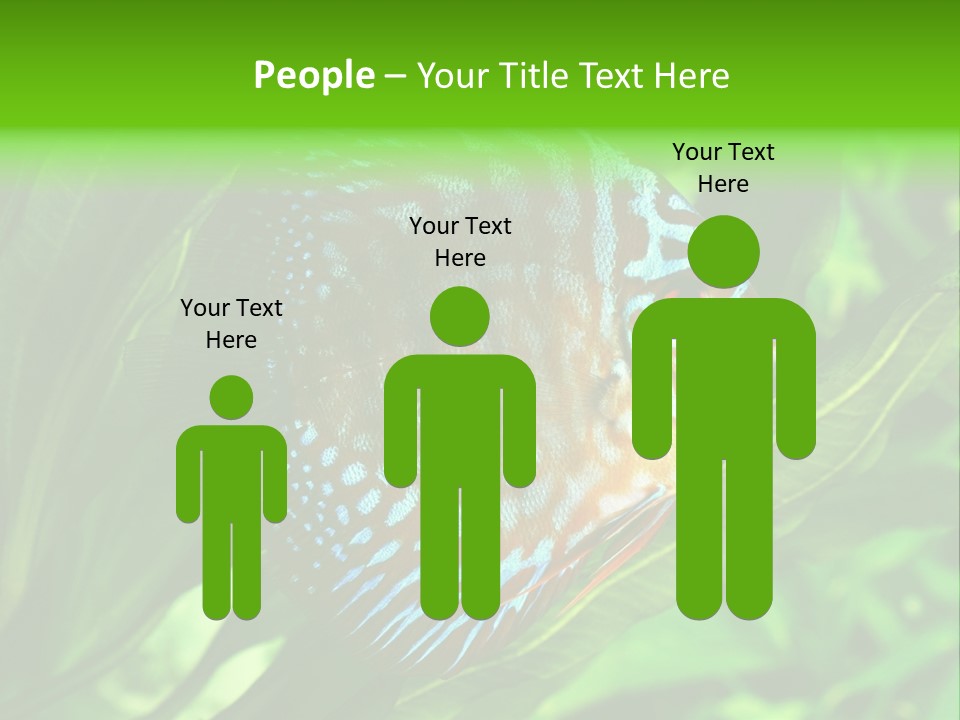 Round Tropical Nature PowerPoint Template