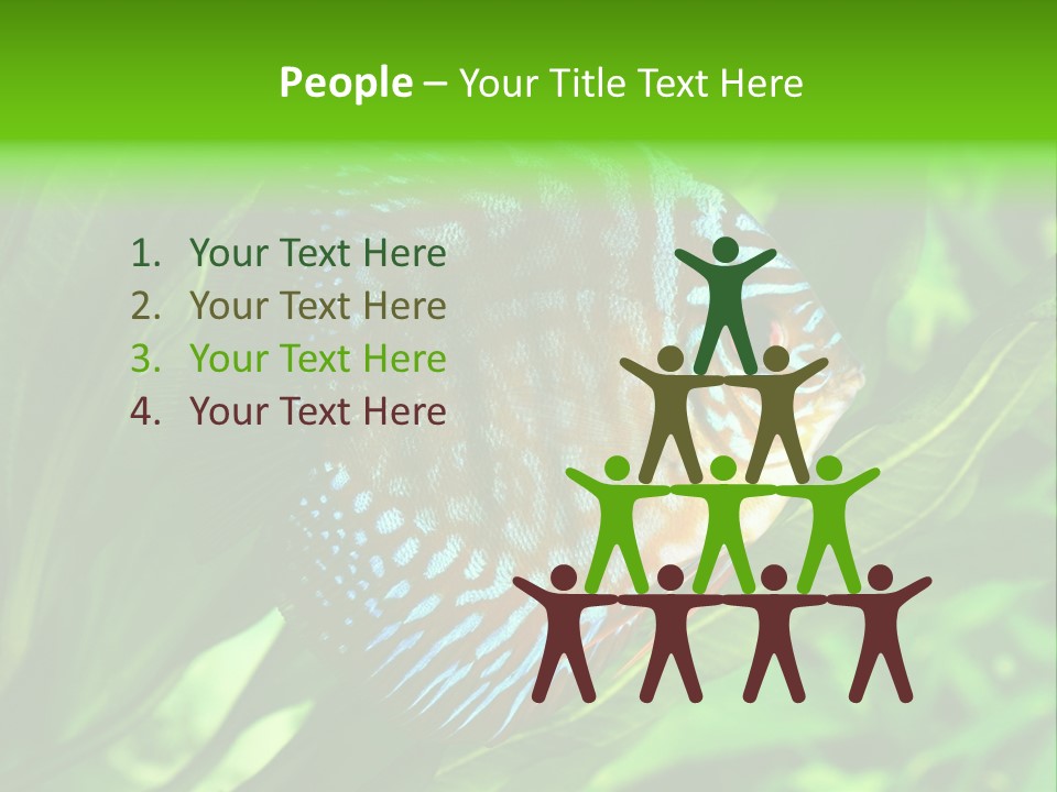 Round Tropical Nature PowerPoint Template