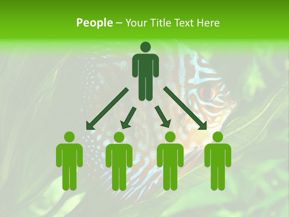 Round Tropical Nature PowerPoint Template