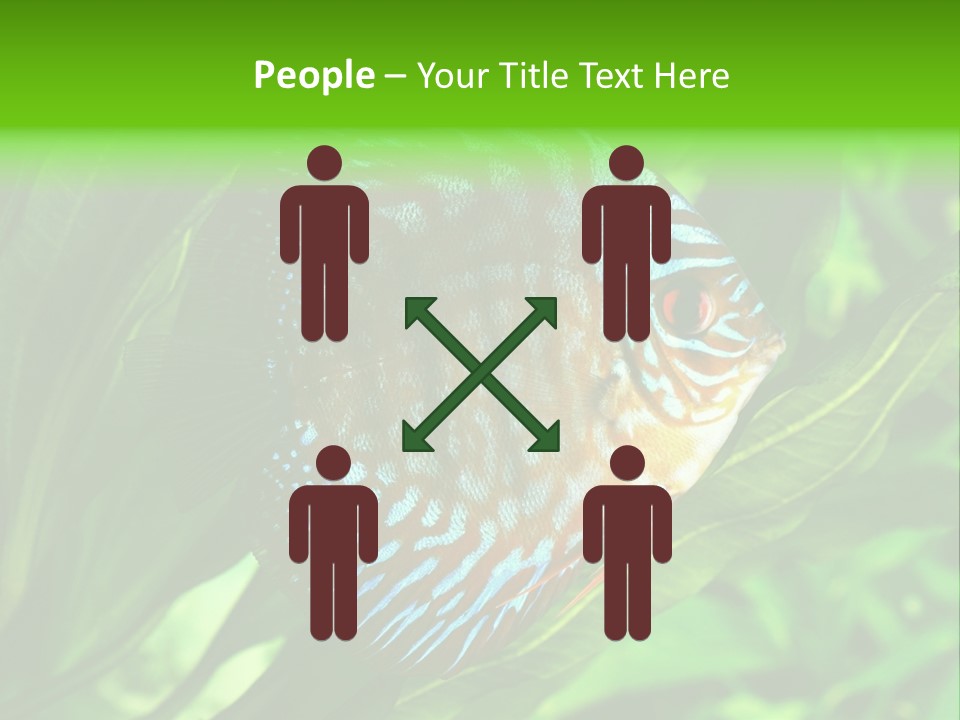 Round Tropical Nature PowerPoint Template