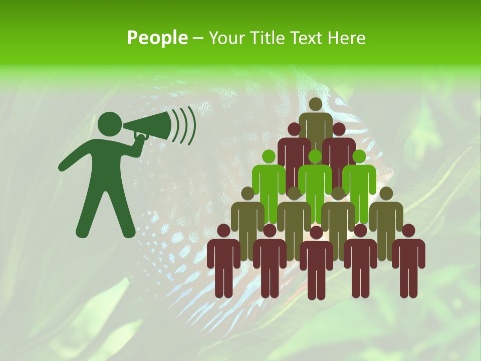 Round Tropical Nature PowerPoint Template