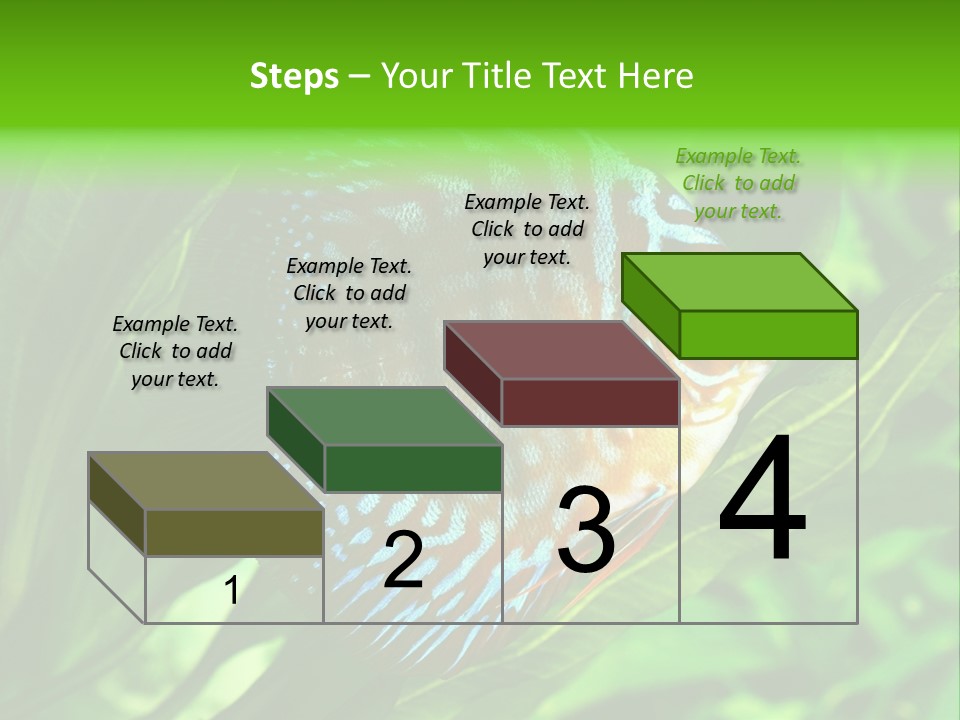 Round Tropical Nature PowerPoint Template