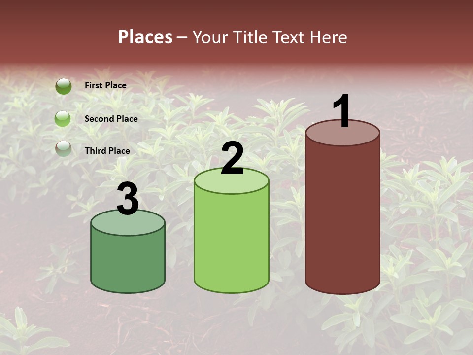 Sweetening Herbal Calorie PowerPoint Template