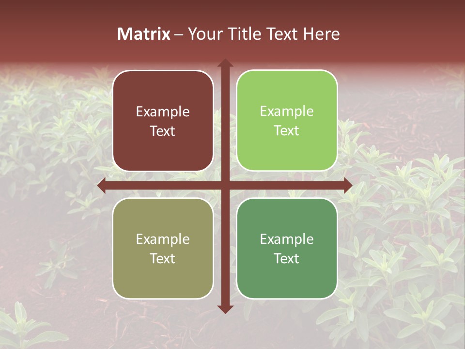 Sweetening Herbal Calorie PowerPoint Template
