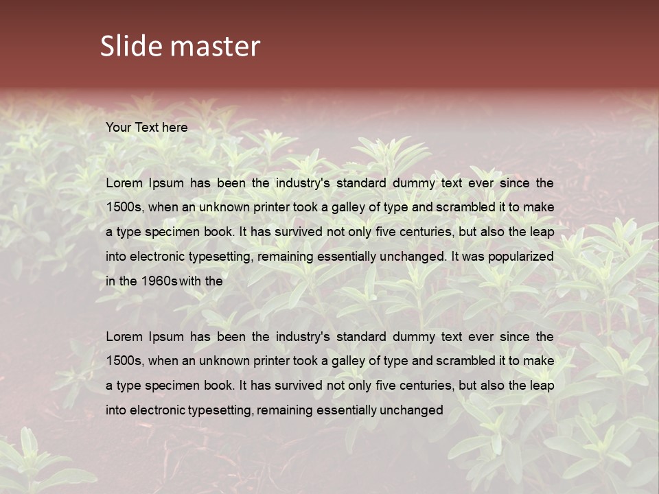 Sweetening Herbal Calorie PowerPoint Template