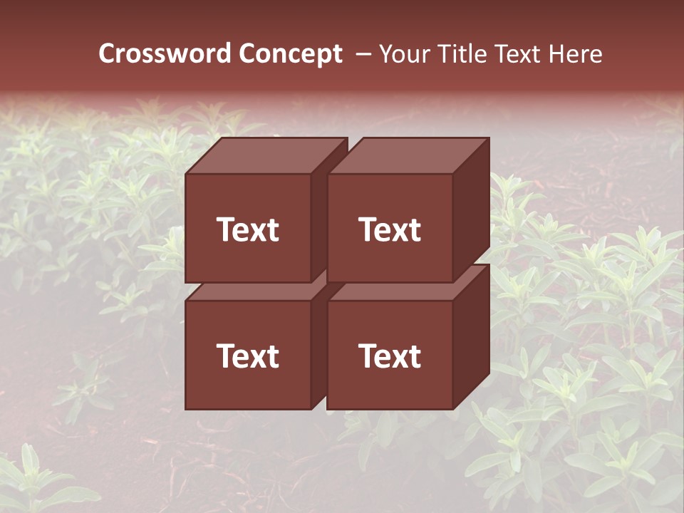 Sweetening Herbal Calorie PowerPoint Template