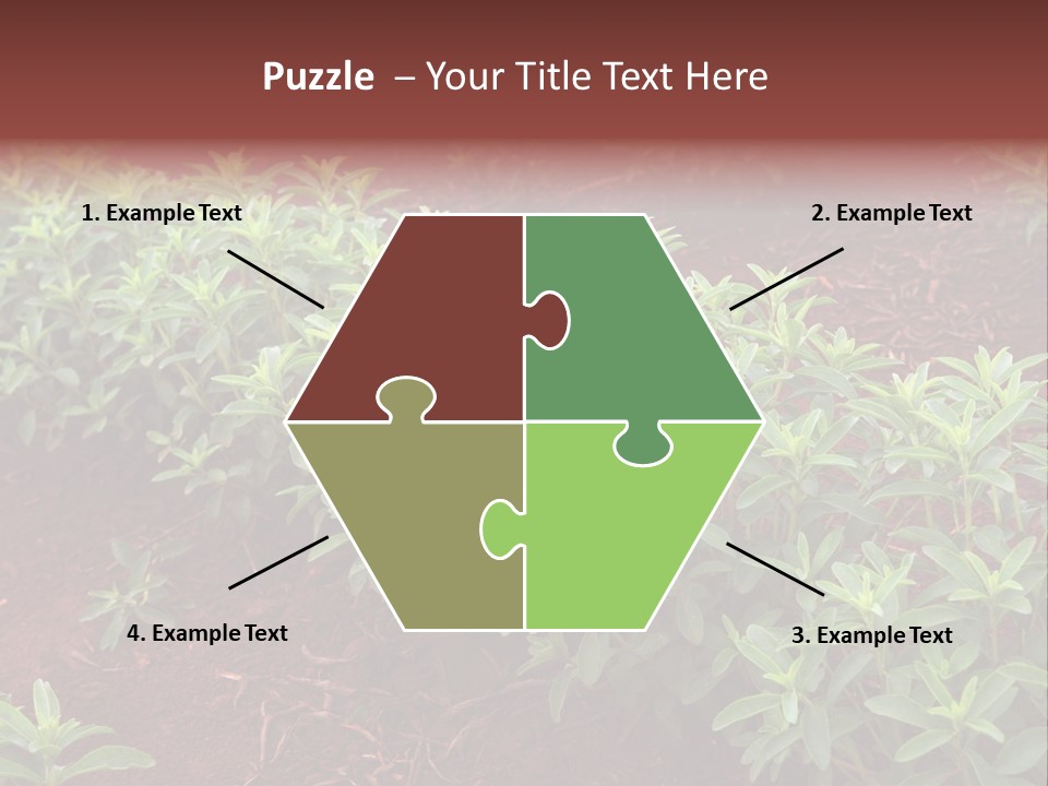 Sweetening Herbal Calorie PowerPoint Template