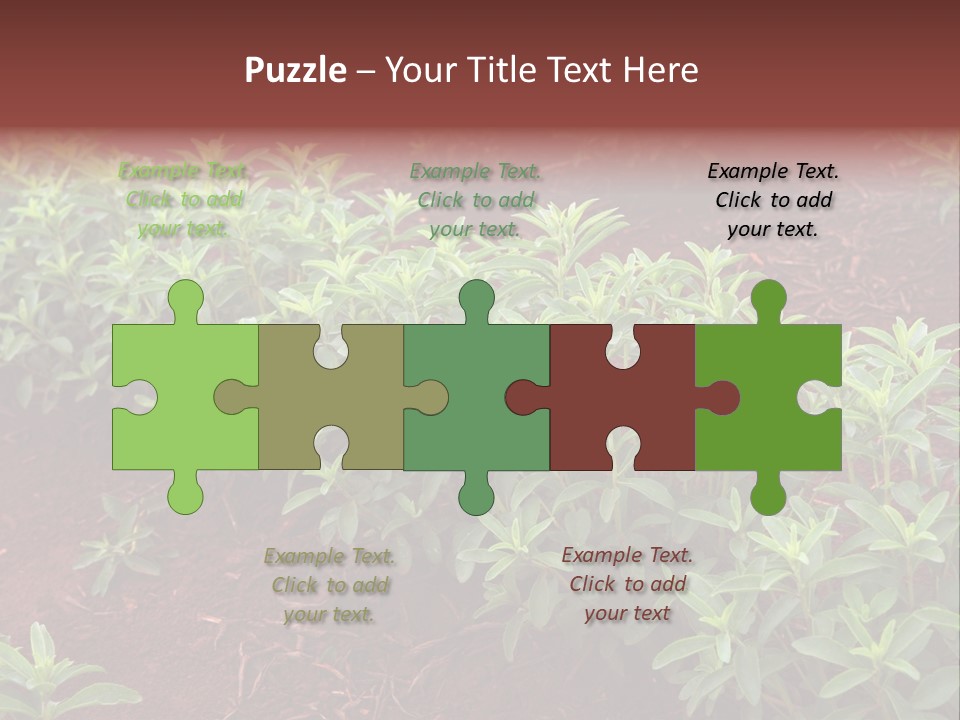 Sweetening Herbal Calorie PowerPoint Template