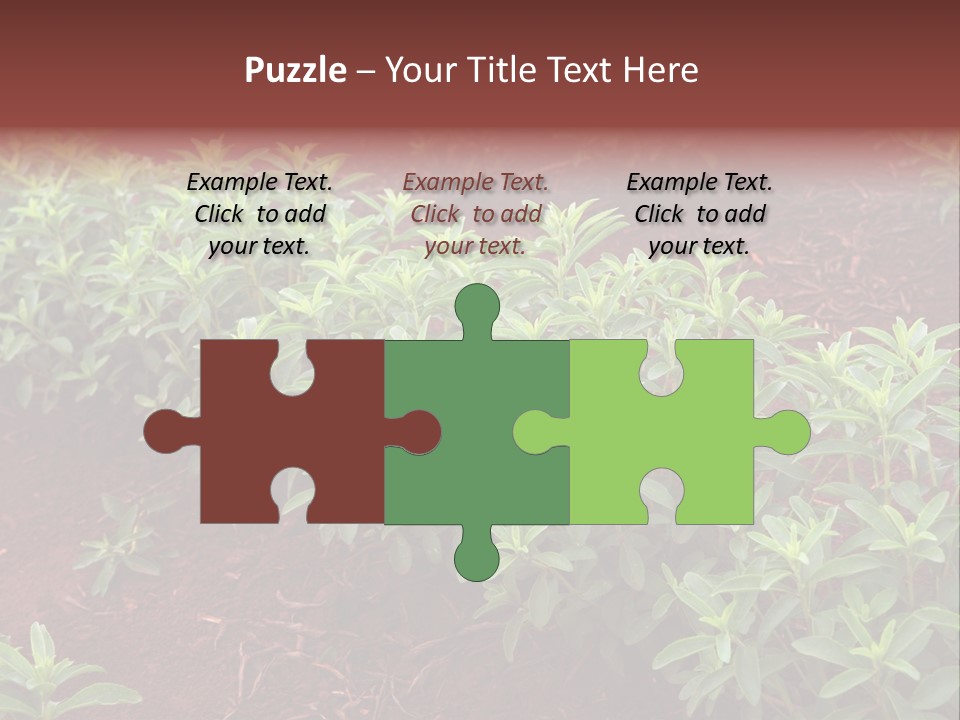 Sweetening Herbal Calorie PowerPoint Template