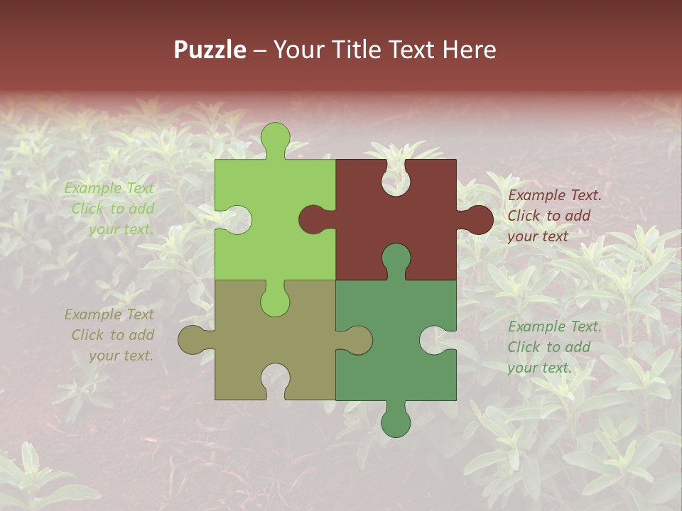 Sweetening Herbal Calorie PowerPoint Template