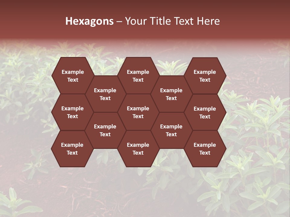 Sweetening Herbal Calorie PowerPoint Template