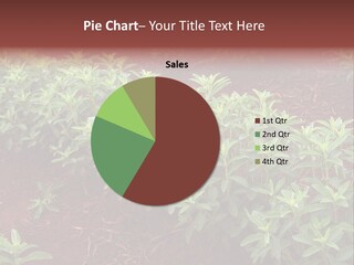 Sweetening Herbal Calorie PowerPoint Template