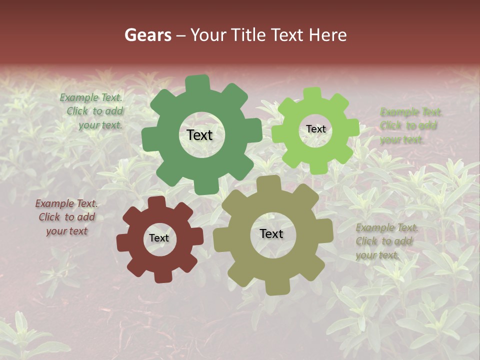 Sweetening Herbal Calorie PowerPoint Template