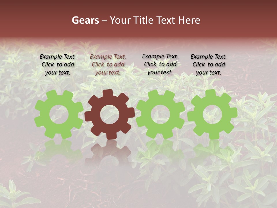 Sweetening Herbal Calorie PowerPoint Template