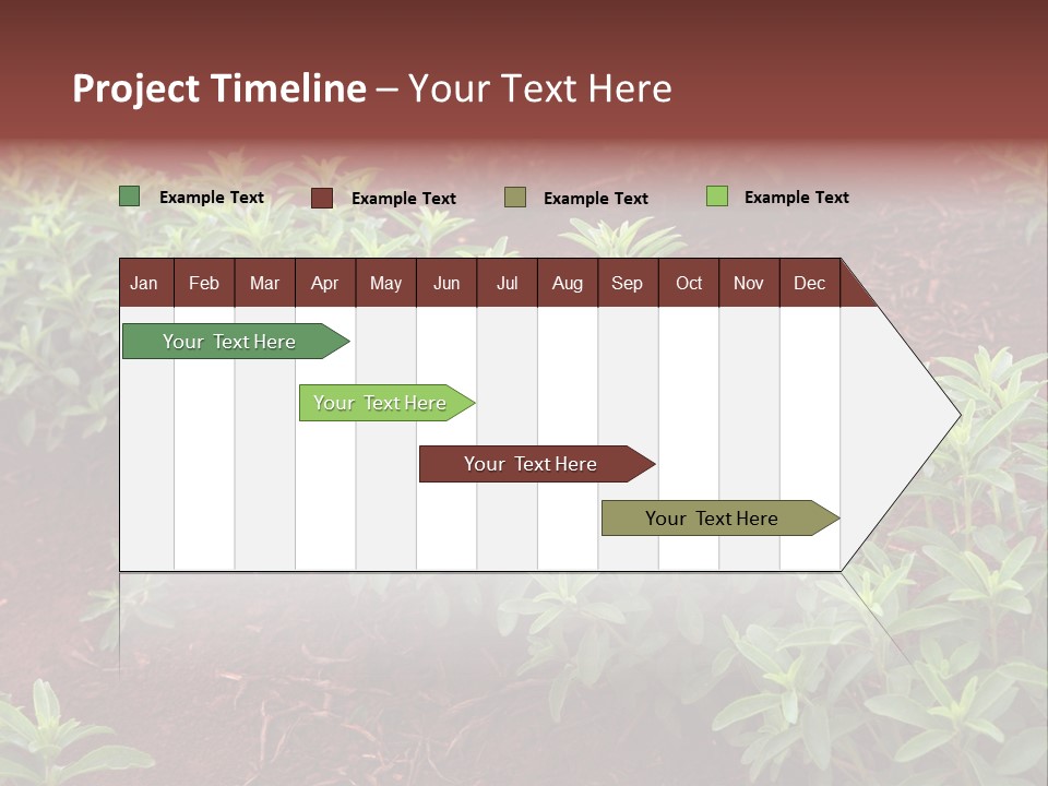 Sweetening Herbal Calorie PowerPoint Template