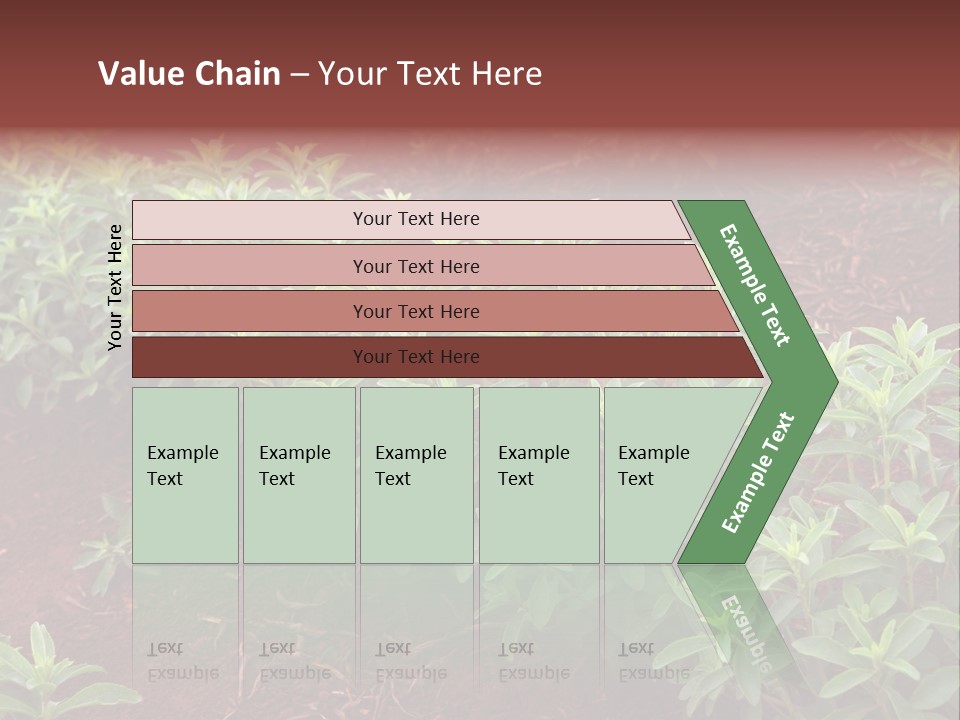 Sweetening Herbal Calorie PowerPoint Template