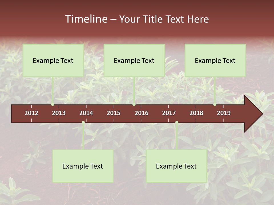 Sweetening Herbal Calorie PowerPoint Template