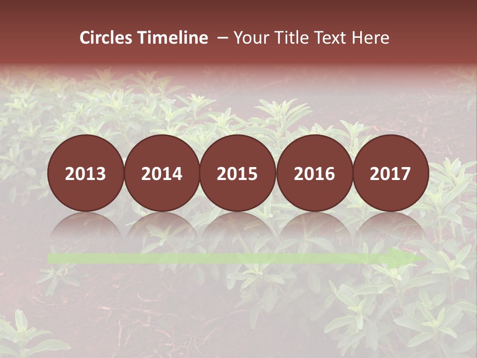 Sweetening Herbal Calorie PowerPoint Template