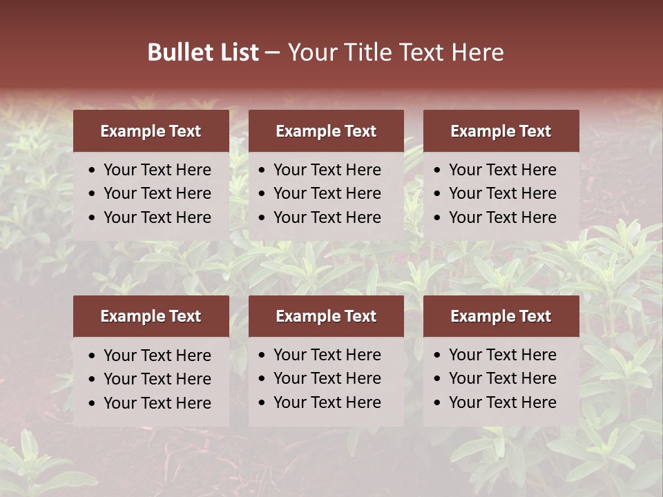 Sweetening Herbal Calorie PowerPoint Template