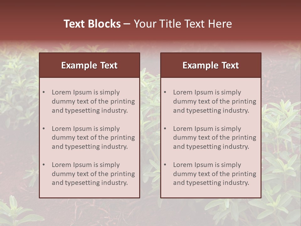 Sweetening Herbal Calorie PowerPoint Template