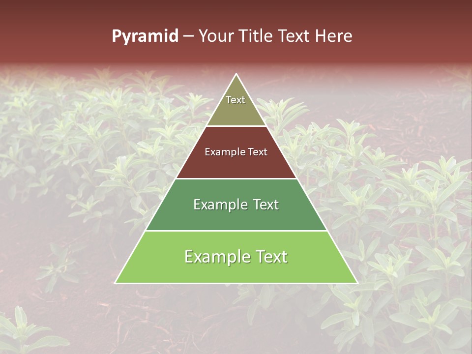 Sweetening Herbal Calorie PowerPoint Template