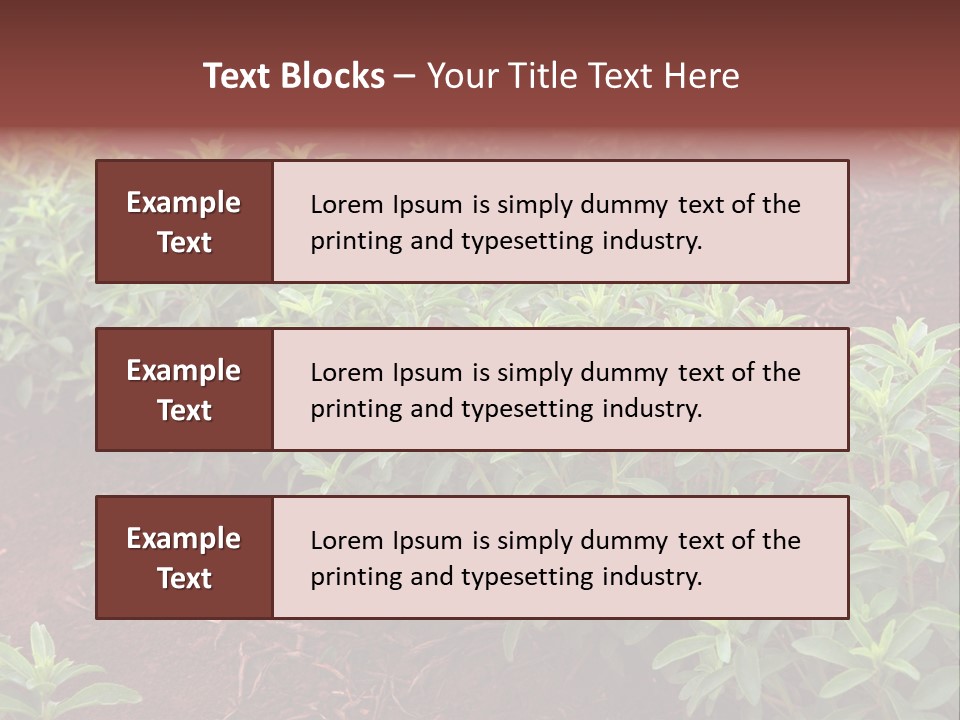 Sweetening Herbal Calorie PowerPoint Template