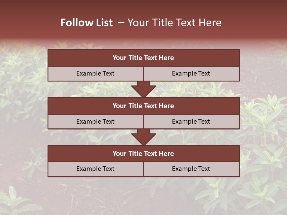 Sweetening Herbal Calorie PowerPoint Template