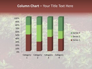 Sweetening Herbal Calorie PowerPoint Template