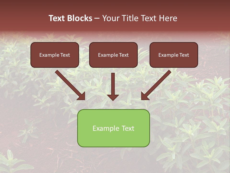 Sweetening Herbal Calorie PowerPoint Template