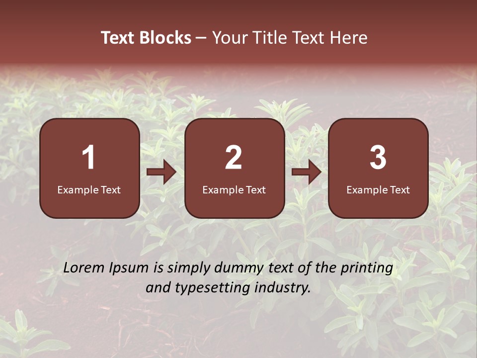 Sweetening Herbal Calorie PowerPoint Template