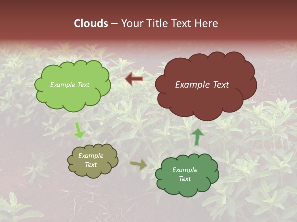 Sweetening Herbal Calorie PowerPoint Template