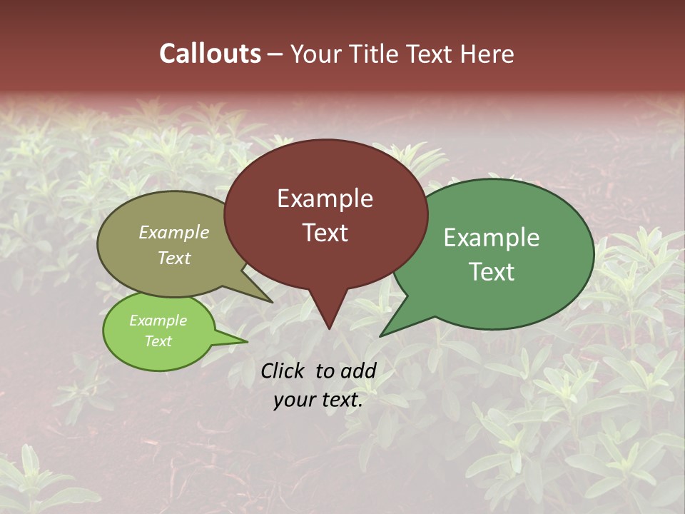 Sweetening Herbal Calorie PowerPoint Template