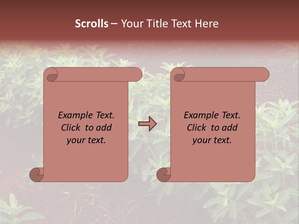 Sweetening Herbal Calorie PowerPoint Template