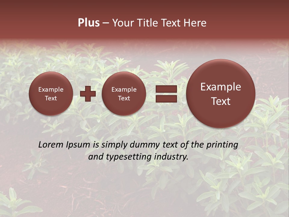 Sweetening Herbal Calorie PowerPoint Template