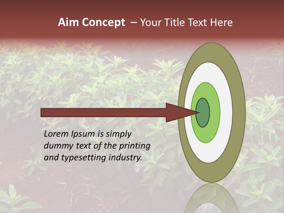 Sweetening Herbal Calorie PowerPoint Template