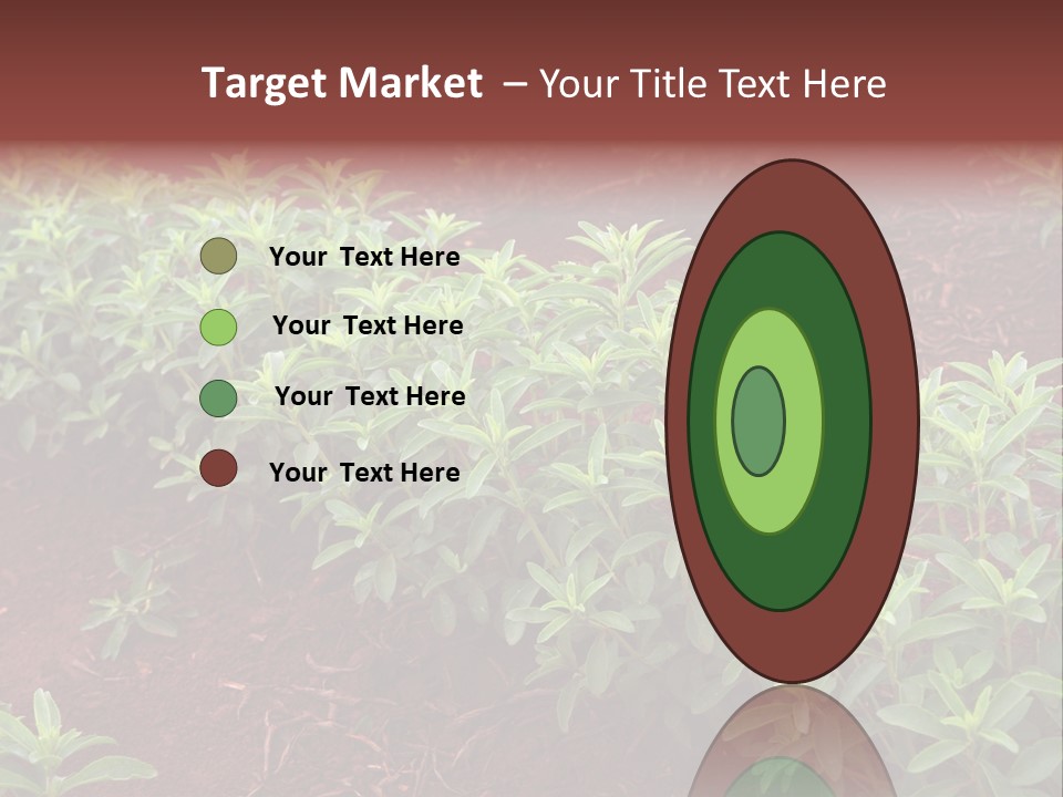 Sweetening Herbal Calorie PowerPoint Template