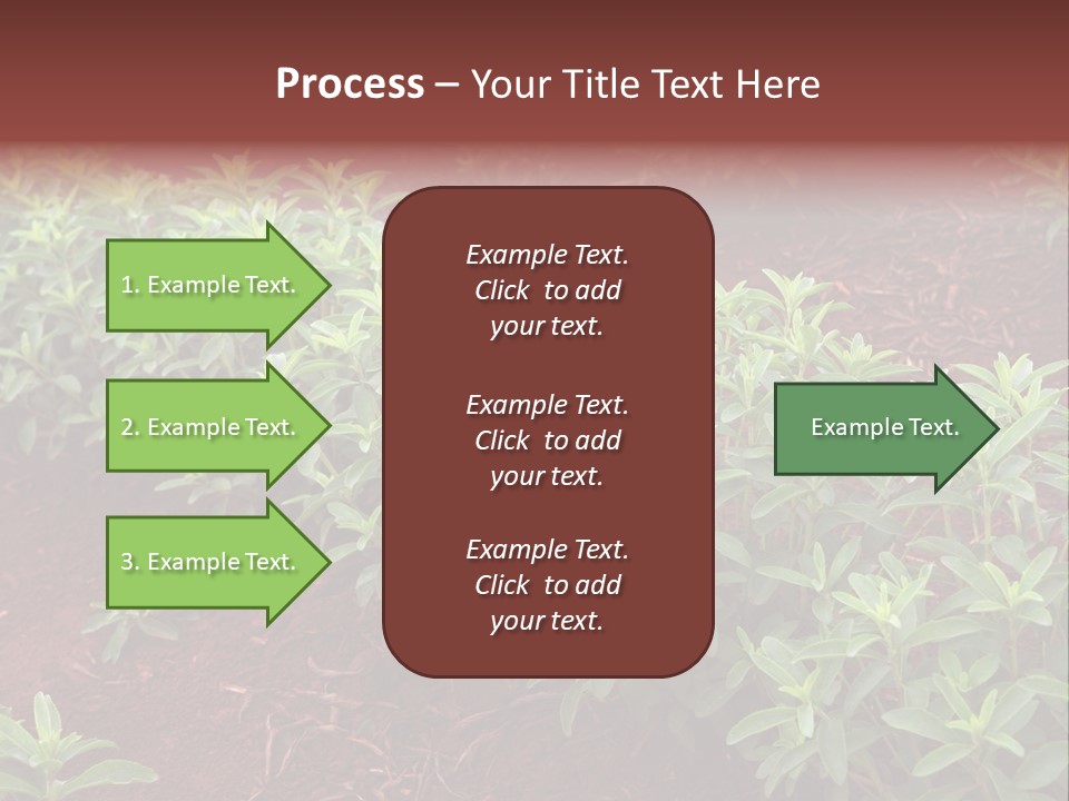 Sweetening Herbal Calorie PowerPoint Template