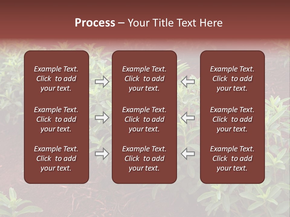 Sweetening Herbal Calorie PowerPoint Template