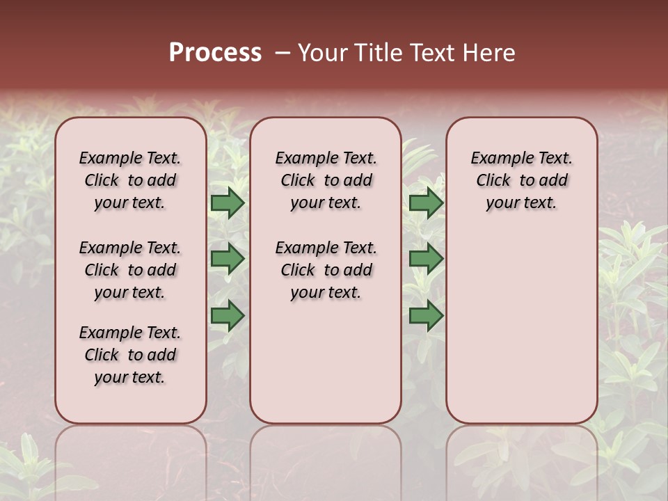 Sweetening Herbal Calorie PowerPoint Template