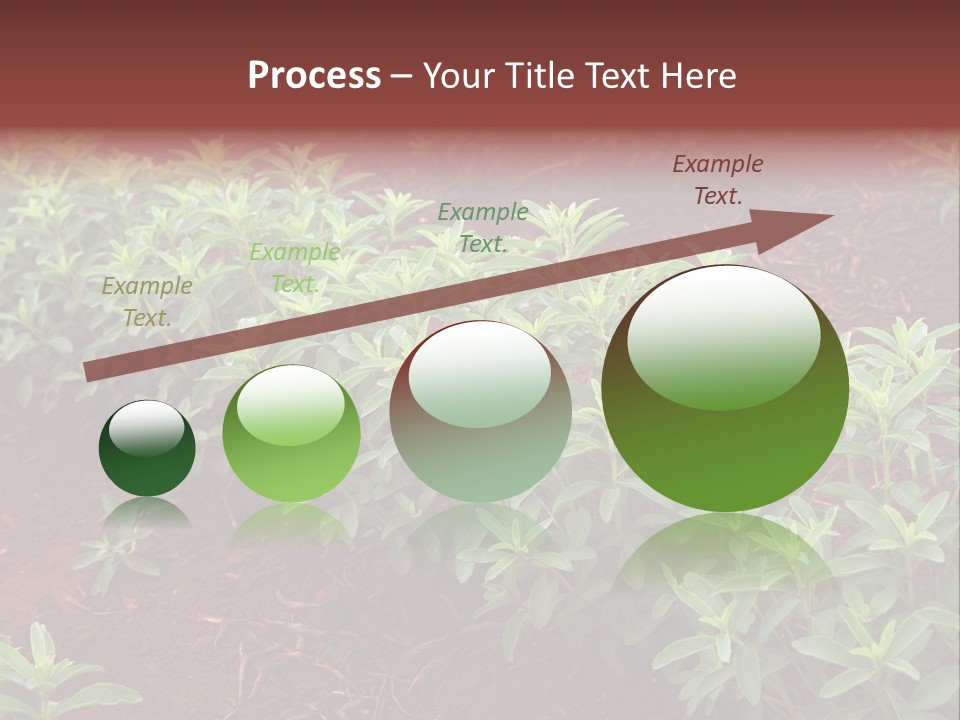 Sweetening Herbal Calorie PowerPoint Template