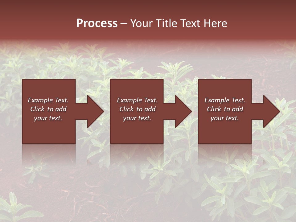 Sweetening Herbal Calorie PowerPoint Template