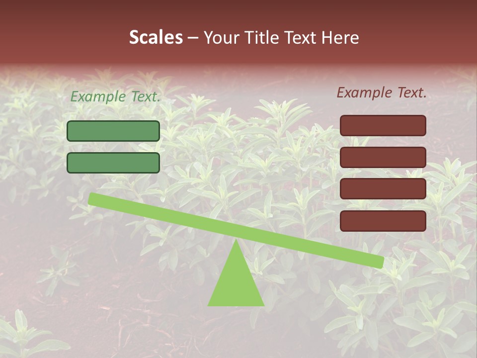Sweetening Herbal Calorie PowerPoint Template
