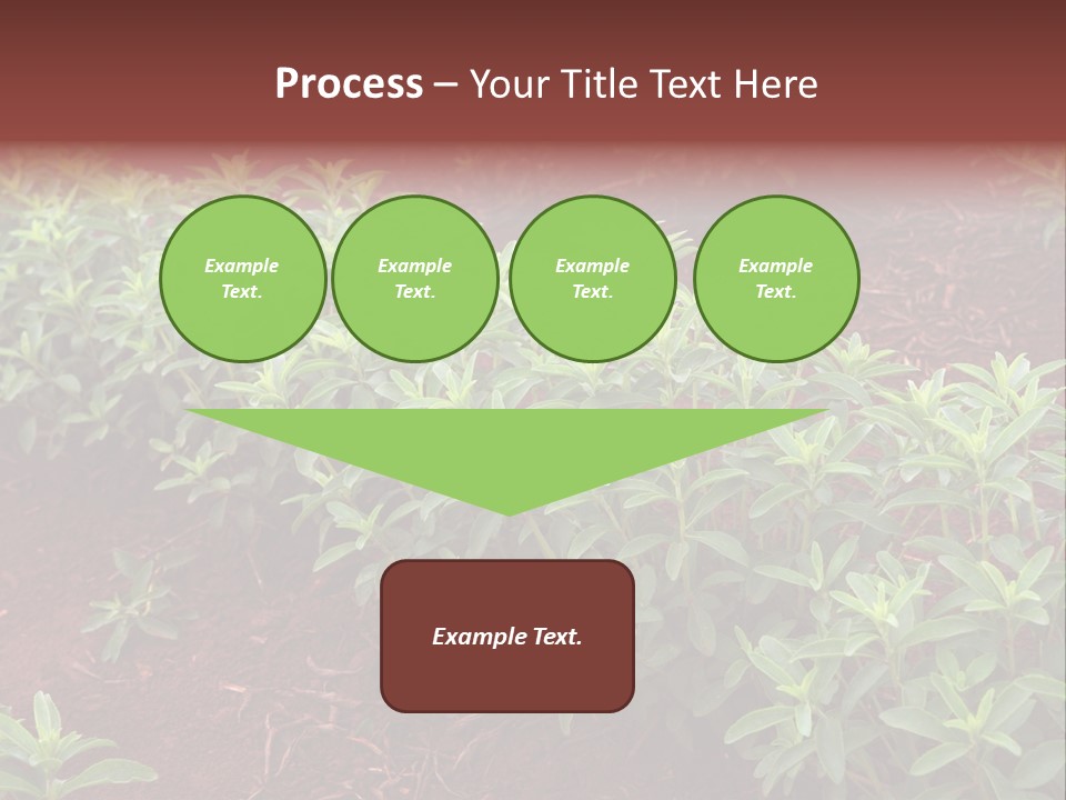 Sweetening Herbal Calorie PowerPoint Template