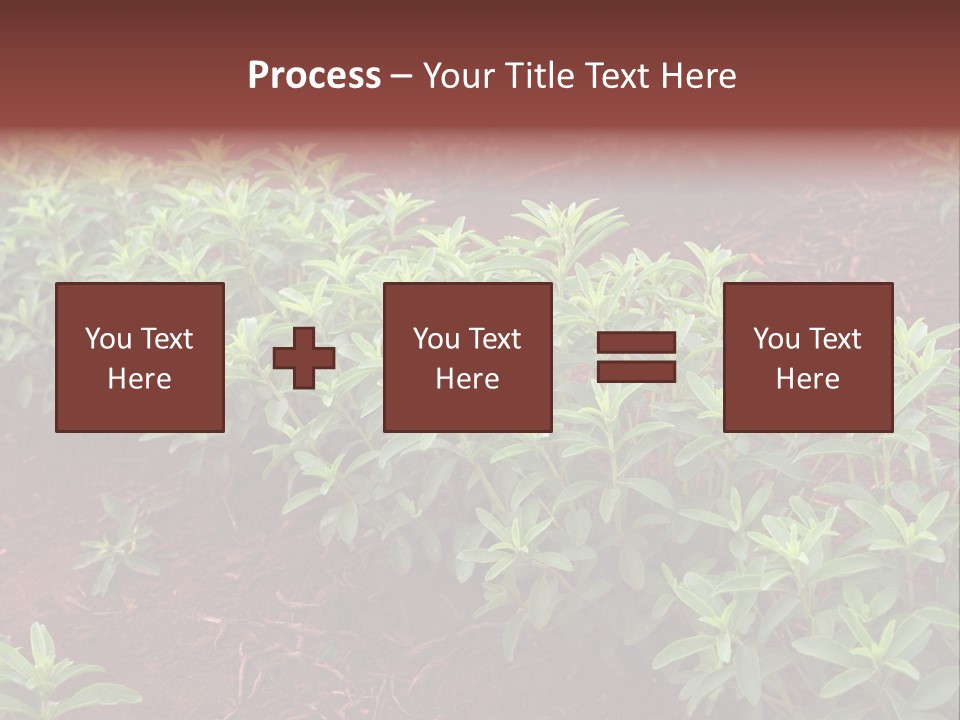 Sweetening Herbal Calorie PowerPoint Template