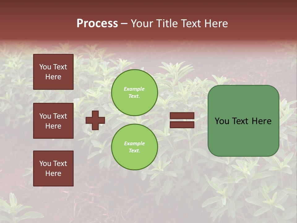 Sweetening Herbal Calorie PowerPoint Template