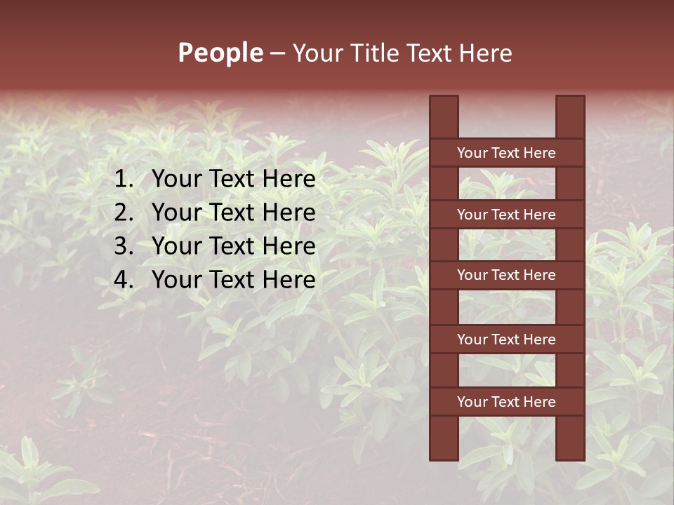 Sweetening Herbal Calorie PowerPoint Template