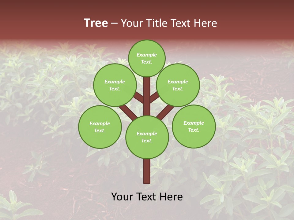 Sweetening Herbal Calorie PowerPoint Template